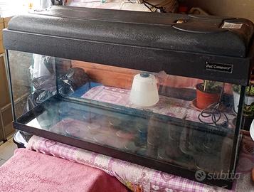 Acquario Pet Company 80 - 100 litri