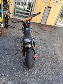 Minimoto minimotard