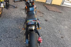 Minimoto minimotard
