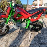 mini moto minicross 