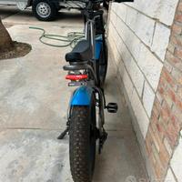 bici elettrica 