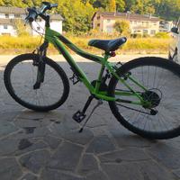 bicicletta da bambino bambina