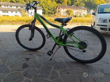 bicicletta da bambino bambina