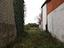 Immagine 7