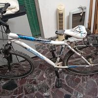 Mountain bike lombardo 