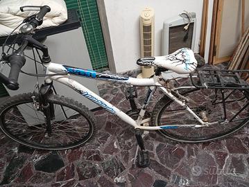 Mountain bike lombardo 
