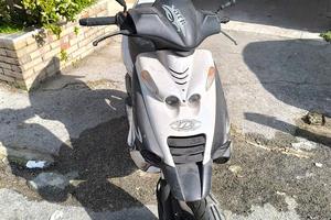 Beta Ark 50