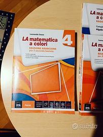 La matematica a colori 4