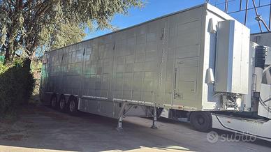 🚛 SEMIRIMORCHIO TRASPORTO ANIMALI VIVI PEZZAIOLI