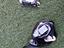 Immagine 4