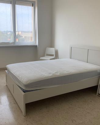 Stanza singola spaziosa e luminosa