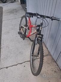bici uomo 