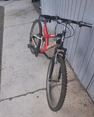 bici uomo 