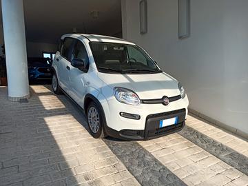 Fiat Panda 1.0 FireFly S&S Hybrid 2023