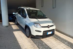 Fiat Panda 1.0 FireFly S&S Hybrid 2023