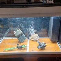 Acquario marca juwel lido 120 litri