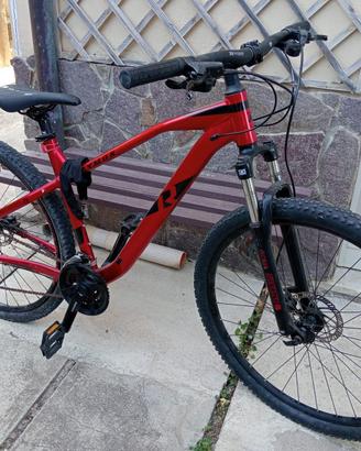 mtb raymon 29 pollici