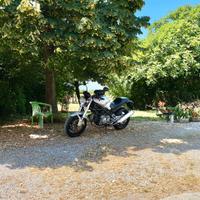 Ducati Monster DEPOTENZIATA 620 I.e 2004