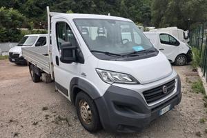 Fiat ducato cassone fisso e gru