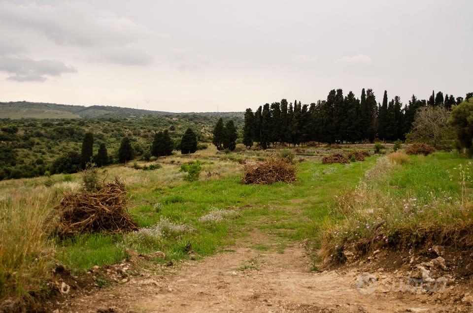 Terreno con bando misura 5.2 - Vista 2