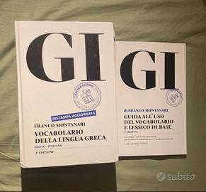 DIZIONARIO DI GRECO GI USATO 2 VOLTE
