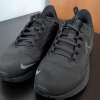 Nike Pegasus 39 Shield