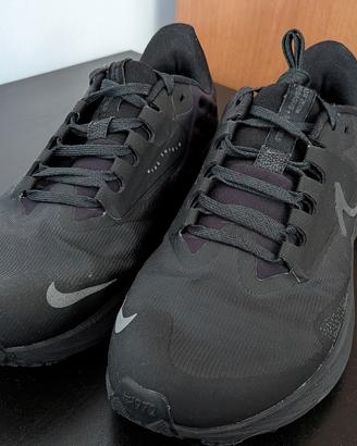 Nike Pegasus 39 Shield