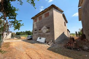 TER. AGRICOLO A ROVIGO