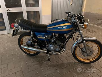 Moto Guzzi TS 250