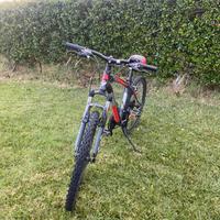 Mountain bike MTB