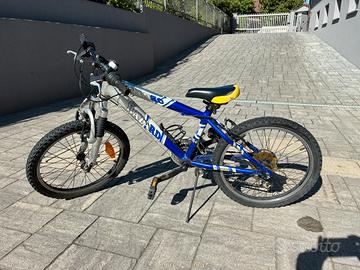 Bicicletta ammortizzata