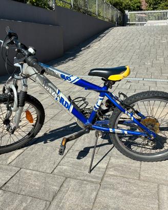 Bicicletta ammortizzata