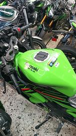 Kawasaki Ninja 125 2024 pronta consegna