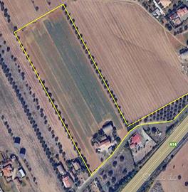 Terreno Artigianale/commerciale + casale