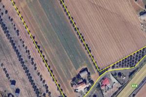 Terreno Artigianale/commerciale + casale