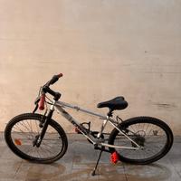 Bicicletta