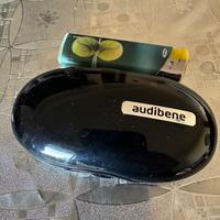 Auricolari per l’udito