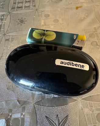 Auricolari per l’udito