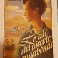 Le ali del piccolo vagabondo