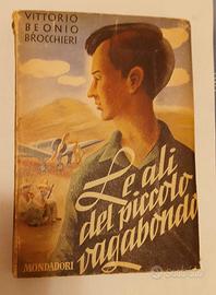 Le ali del piccolo vagabondo