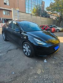 Tesla Model Y RWD