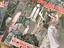 Immagine 5