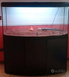 ACQUARIO ASKOLL TENERIF SINUO 250 litri accessori