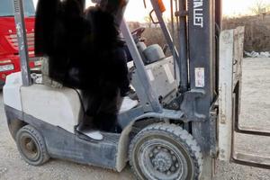 Carrello elevatore mitsubishi 25 ql