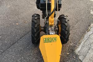 Motofalciatrice Pasquali diesel 