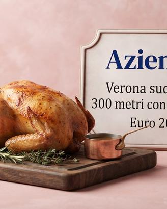 Ristorante perfette condizioni - no bar
