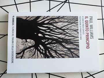 Il quinto Principio Paul Williams 
Mimesis