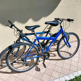Biciclette MTB