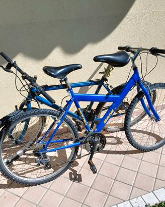 Biciclette MTB