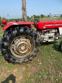 trattore massey Ferguson non targato